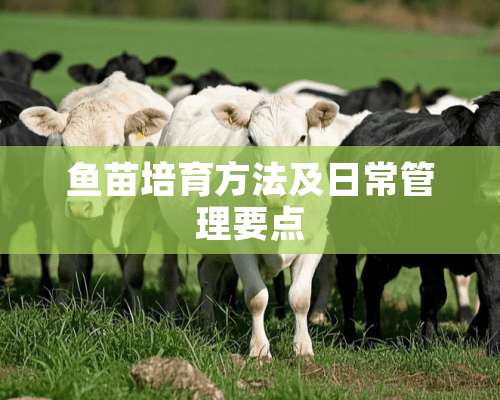 鱼苗培育方法及日常管理要点