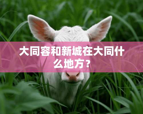 大同容和新城在大同什么地方？