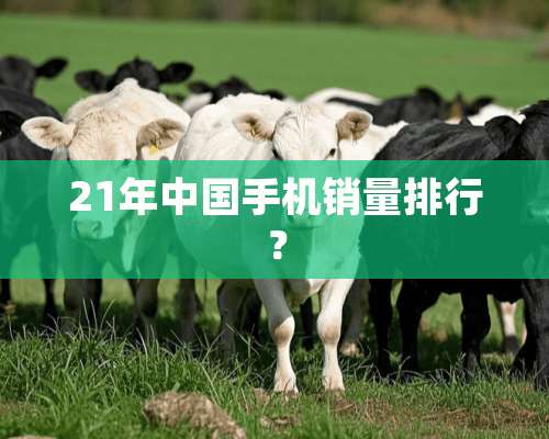 21年中国手机销量排行？