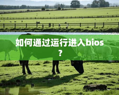 如何通过运行进入bios？