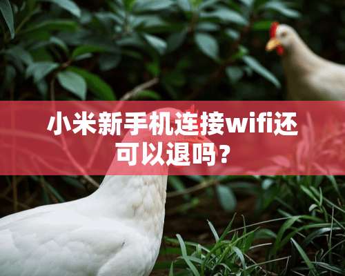 小米新手机连接wifi还可以退吗？