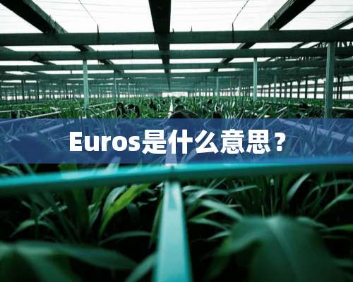 Euros是什么意思？