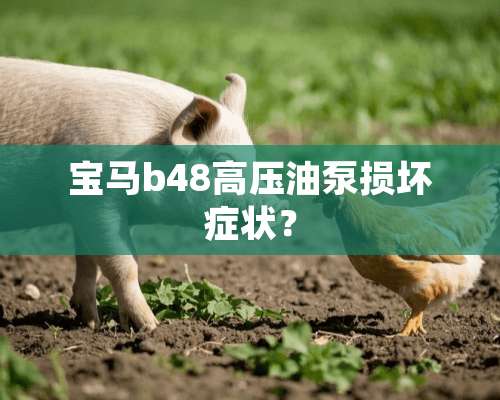 宝马b48高压油泵损坏症状？