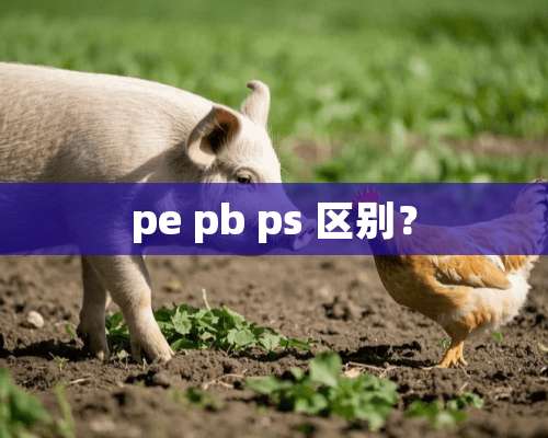 pe pb ps 区别？