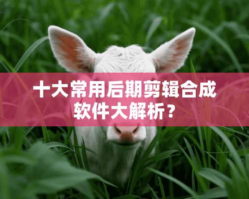 十大常用后期剪辑合成软件大解析？