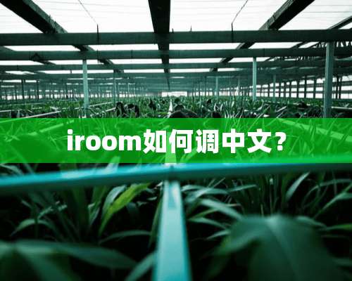 iroom如何调中文？