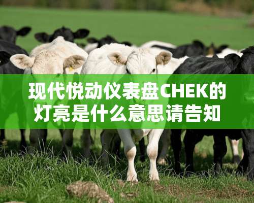 现代悦动仪表盘CHEK的灯亮是什么意思请告知