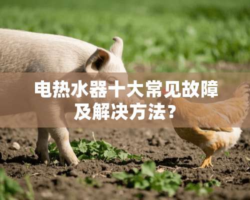 电热水器十大常见故障及解决方法？