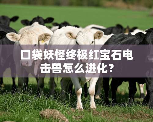 口袋妖怪终极红宝石电击兽怎么进化？