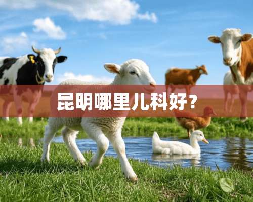 昆明哪里儿科好？