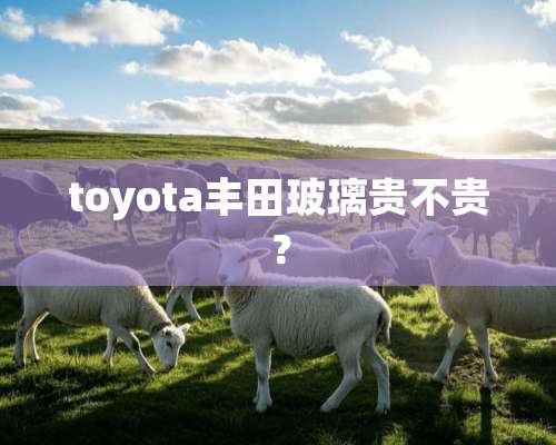 toyota丰田玻璃贵不贵？