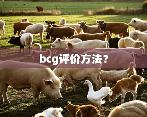 bcg评价方法？