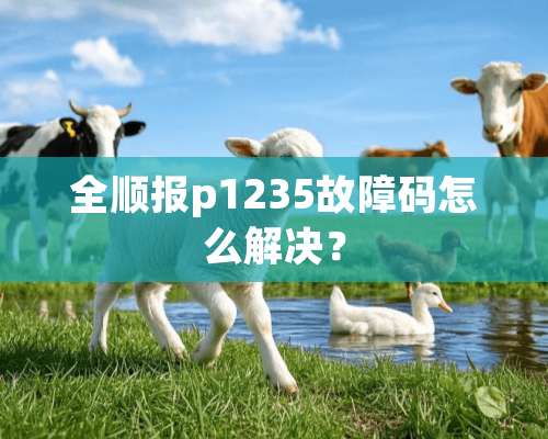 全顺报p1235故障码怎么解决？