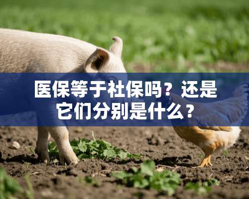 医保等于社保吗？还是它们分别是什么？