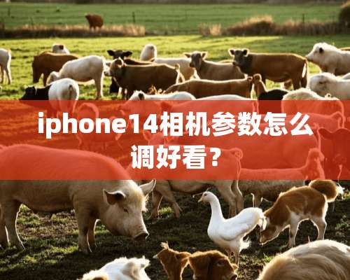 iphone14相机参数怎么调好看？