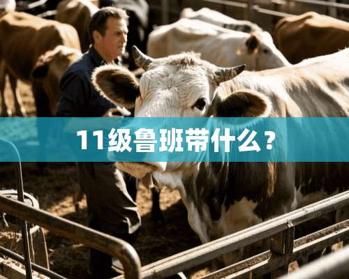 11级鲁班带什么？