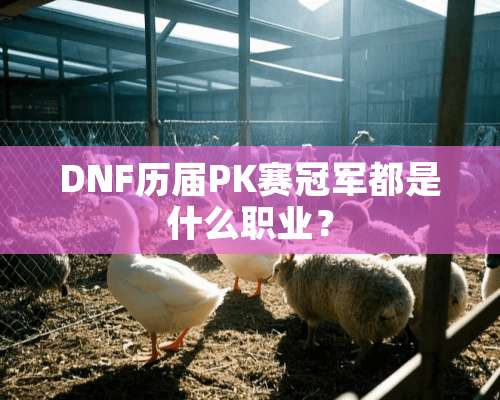 DNF历届PK赛冠军都是什么职业？