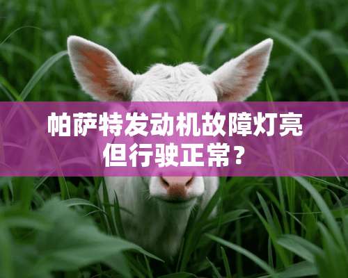 ***发动机故障灯亮但行驶正常？