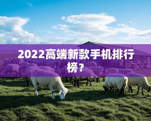 2022高端新款手机排行榜？