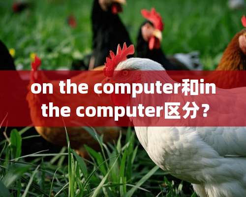 on the computer和in the computer区分？