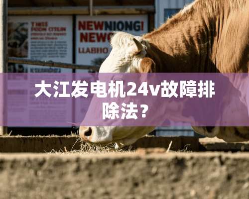 大江发电机24v故障排除法？