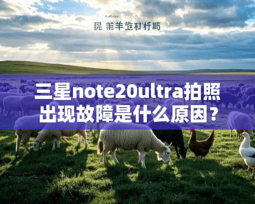 三星note20ultra拍照出现故障是什么原因？