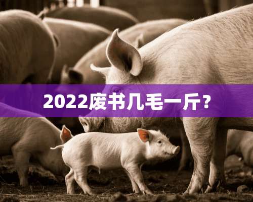 2022废书几毛一斤？