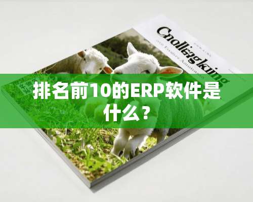 排名前10的ERP软件是什么？