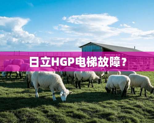 日立HGP电梯故障？