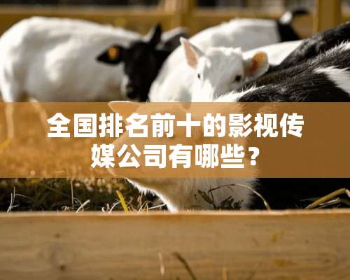 全国排名前十的影视传媒公司有哪些？