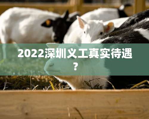 2022深圳义工真实待遇？