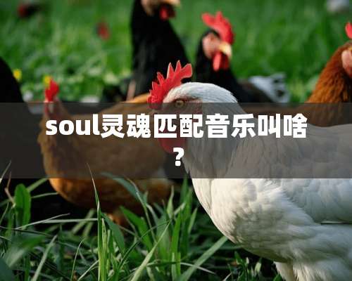 soul灵魂匹配音乐叫啥？