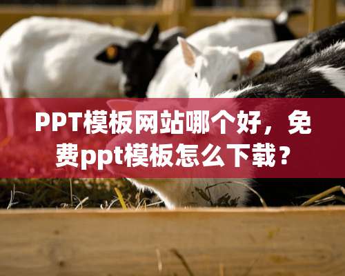 PPT模板网站哪个好，免费ppt模板怎么下载？