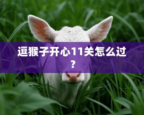 逗猴子开心11关怎么过？