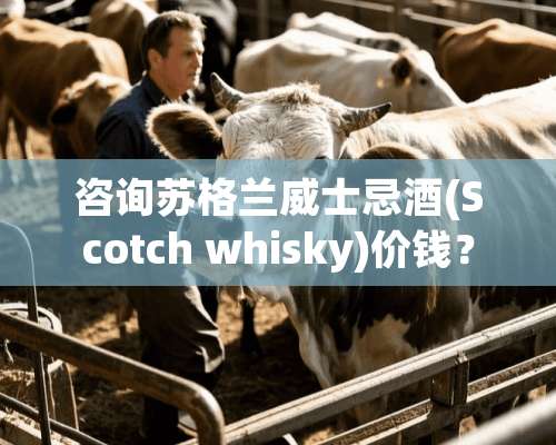 咨询苏格兰威士忌酒(Scotch whisky)价钱？