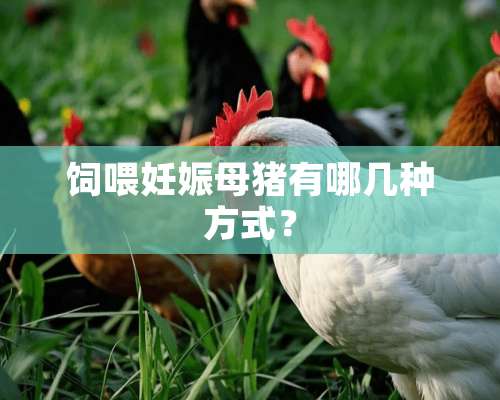 饲喂妊娠母猪有哪几种方式？