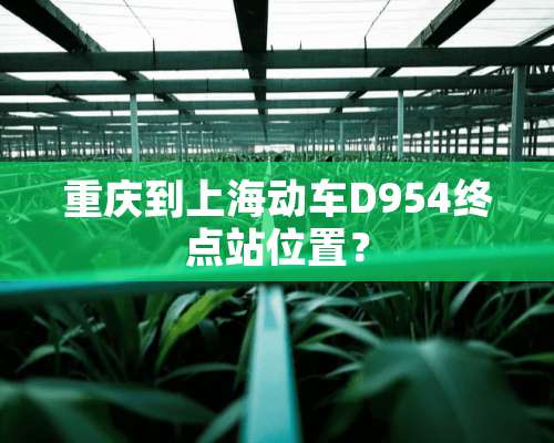 重庆到上海动车D954终点站位置？