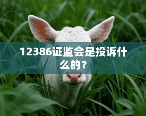 12386证监会是投诉什么的？