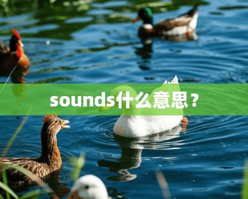 sounds什么意思？