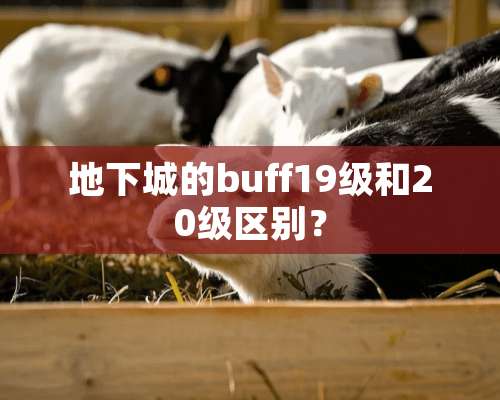 **城的buff19级和20级区别？