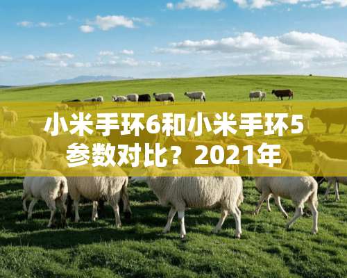 小米手环6和小米手环5参数对比？2021年