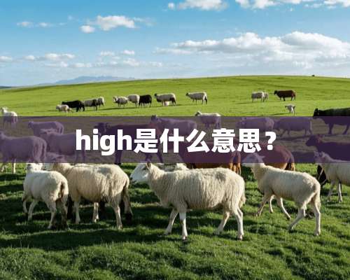 high是什么意思？