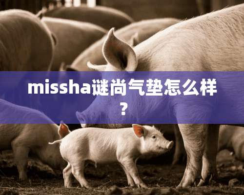 missha谜尚气垫怎么样？