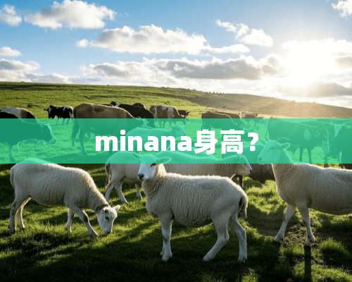 minana身高？