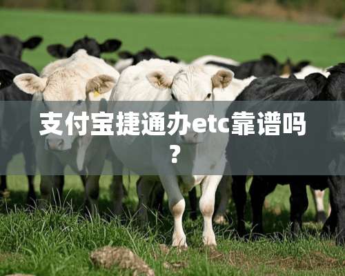 支付宝捷通办etc靠谱吗？