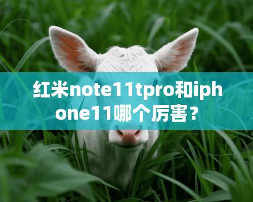 红米note11tpro和iphone11哪个厉害？