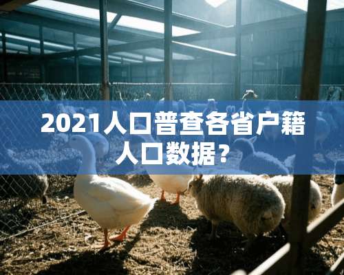 2021人口普查各省户籍人口数据？