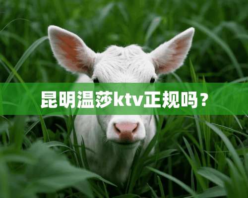 昆明温莎ktv正规吗？