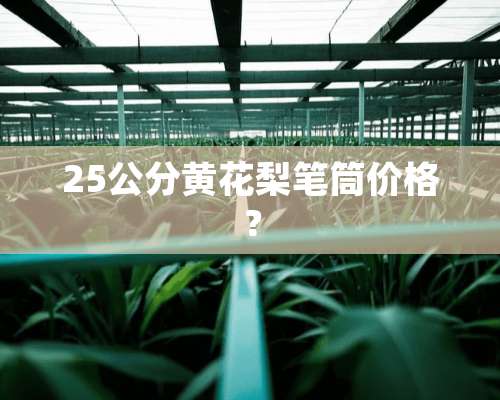 25公分黄花梨笔筒价格？