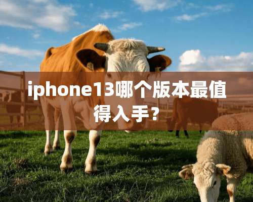 iphone13哪个版本最值得入手？